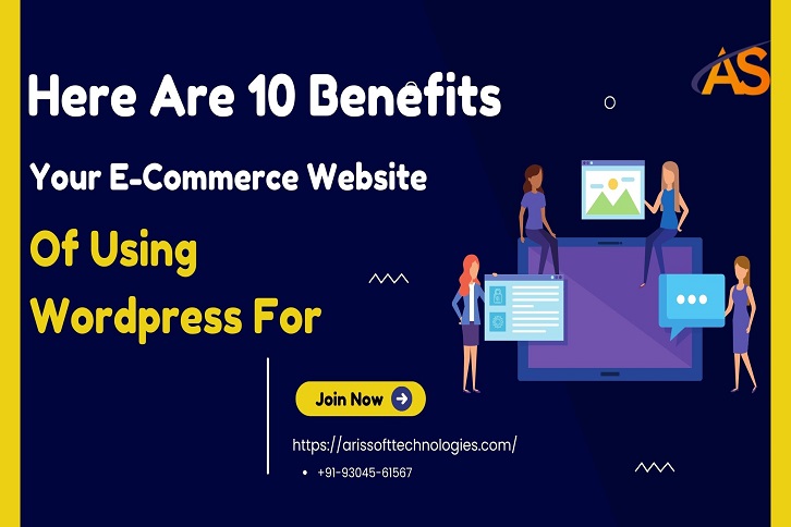 Wordpress For Your E-Commerce Website